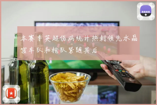 本赛季英超伤病统计热刺领先水晶宫车队和枪队紧随其后