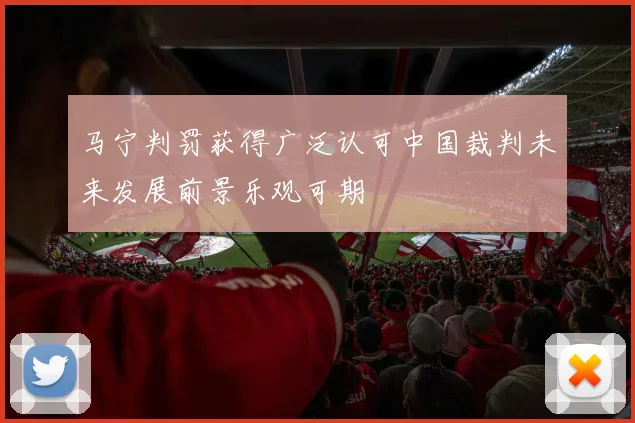 马宁判罚获得广泛认可中国裁判未来发展前景乐观可期